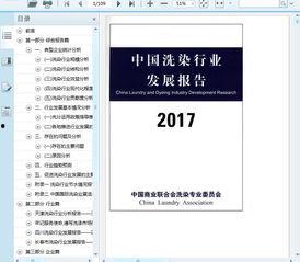 国产104页,深度解析我国科技发展的新篇章